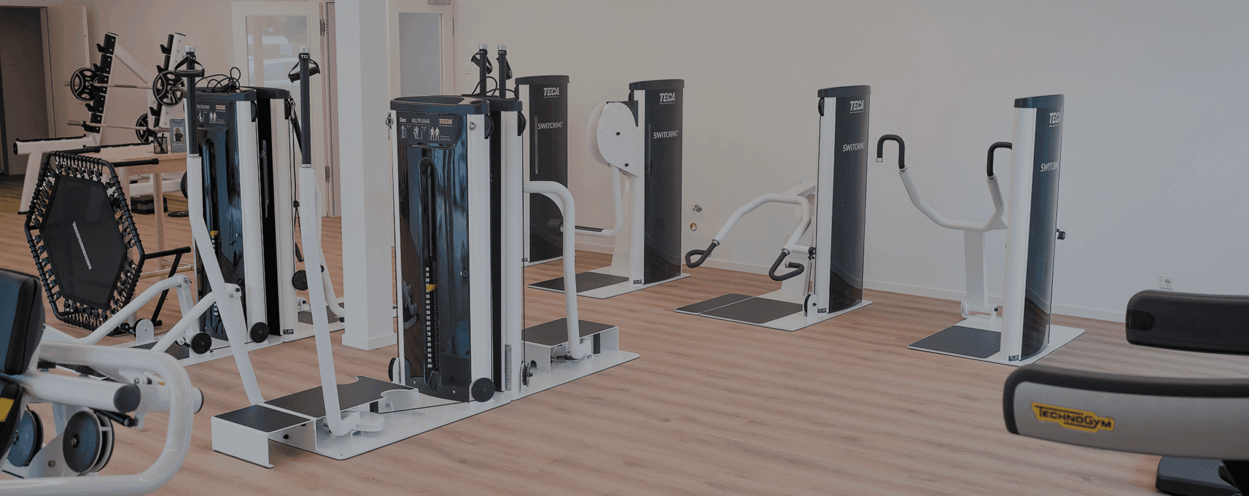 Fokus auf die modernen Teca-Geräte auf der Trainingsfläche am Korpeo-Standort Rabenau – effektives Muskeltraining in hochwertig ausgestatteter Trainingsumgebung.
