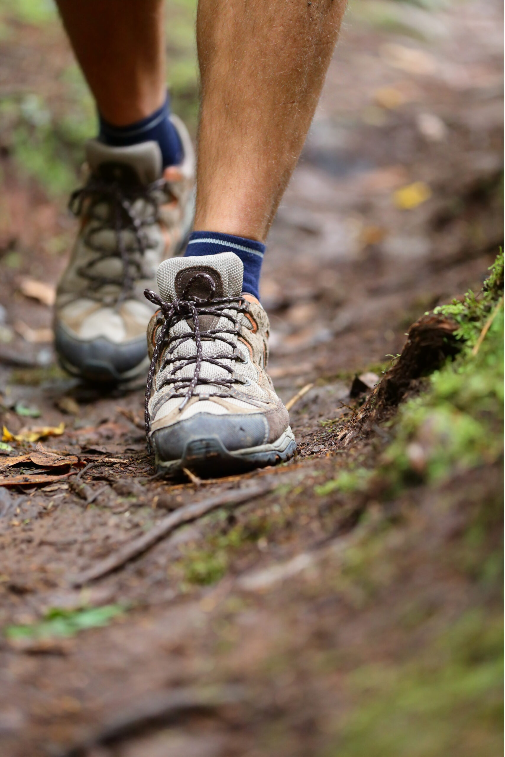 Wanderschuhe im Wald