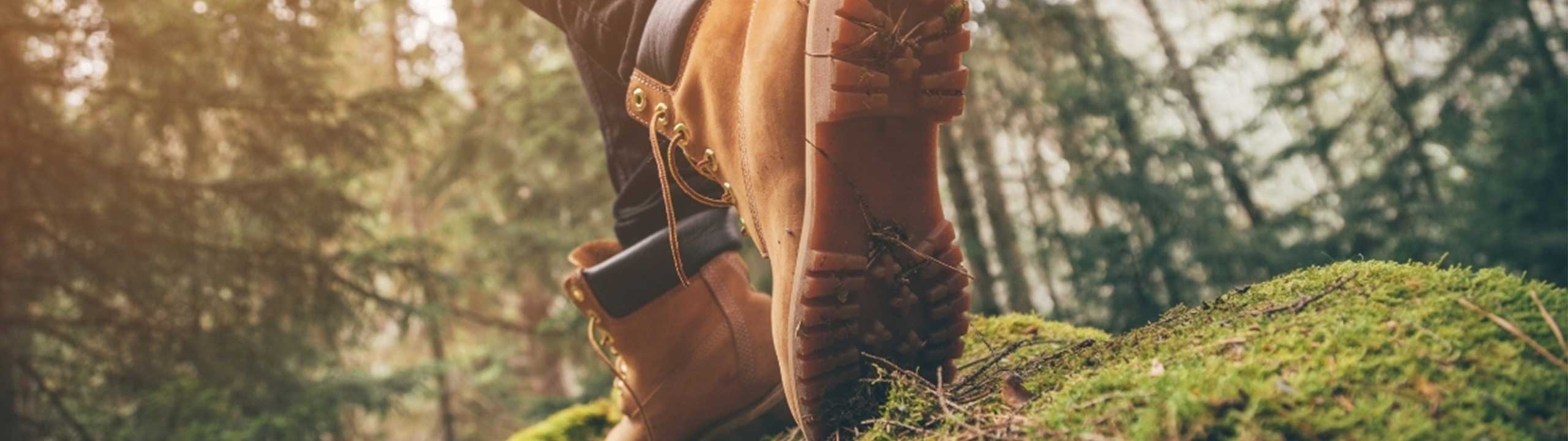 Wanderschuhe im Wald